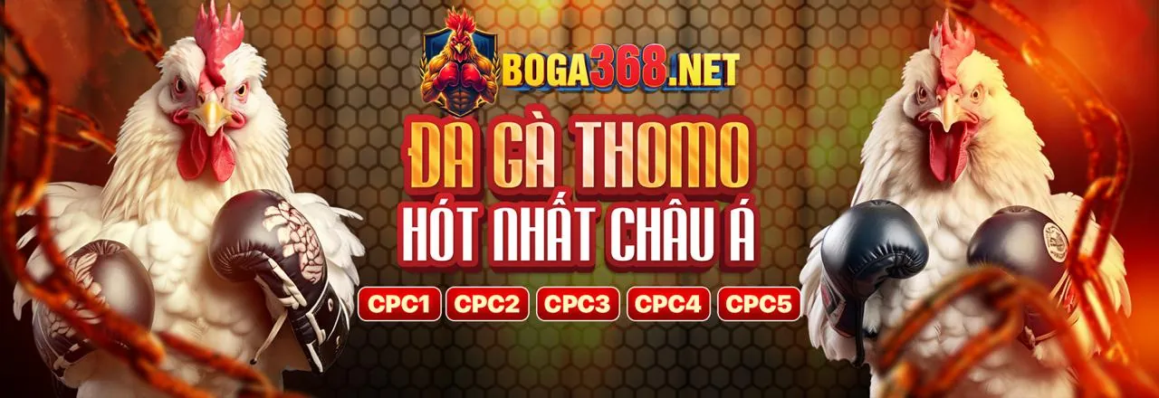Đá Gà Trực Tuyến king33 login