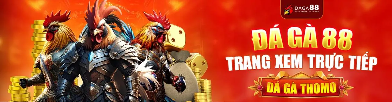 Các loại cookie và chức năng của chúng trên king33 login
